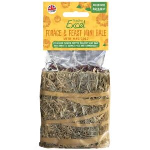 Burgess Excel Forage & Feast Hay Bale Marigold 100g