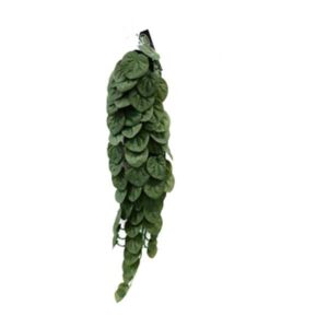 Betta Terra Green Plant Vine 70cm