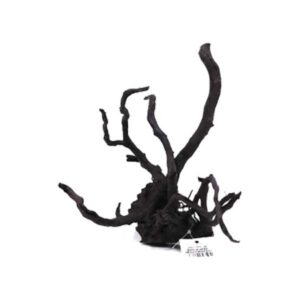 Black Moorwood Medium 25-30cm