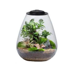 Bio Bowl with Light in Black 175mm