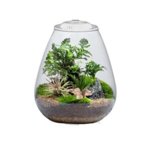 Bio Bowl with Light White 175mm
