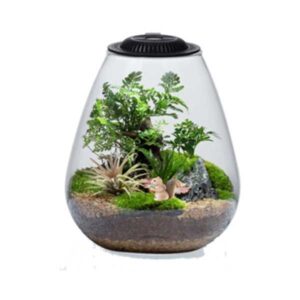 Bio Bowl with Light Black 200mm