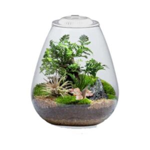 Bio Bowl with Light White 200mm