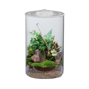 Cylinder Bio Bowl with Light White 200mm