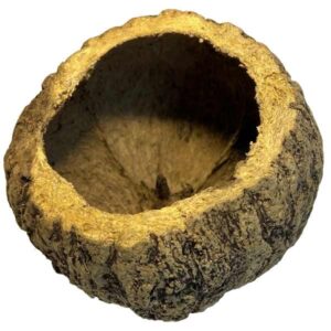 OA Botanical Ourico