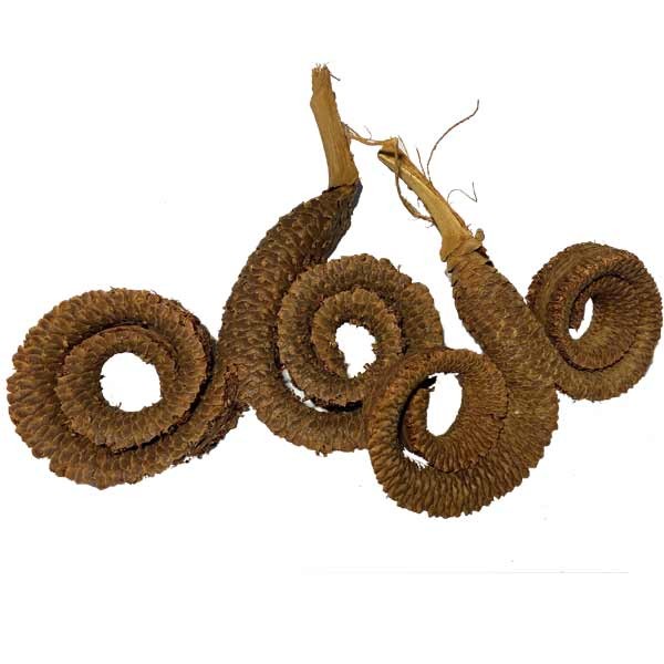 OA Botanical Palm Ring 1 OA Botanical Palm Ring