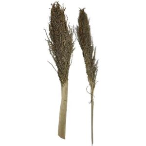 OA Botanical Palm Torch