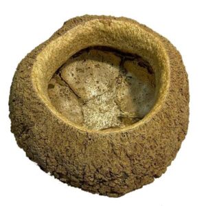OA Botanical Sapucaia Pod XXL