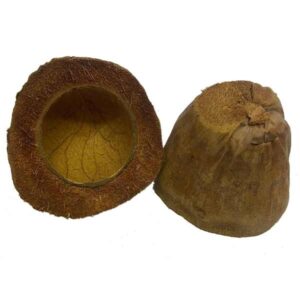 OA Botanical Coconut Cup 11-14cm