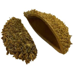 OA Botanical Bolsa Pod