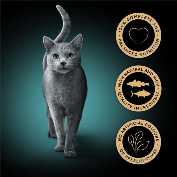 Sheba Fresh & Fine Pouches Tuna & Cod in Gravy Adult 6x50g Wet Cat Food 2 Sheba Fresh & Fine Pouches Tuna & Cod in Gravy Adult 6x50g Wet Cat Food - Image 2