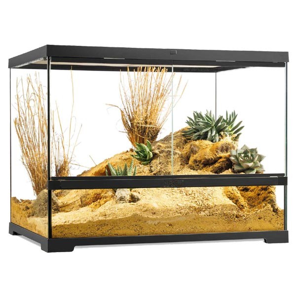 Exo Terra Pro Terrarium 60 x 45 x 45cm Medium Wide 1 Exo Terra Pro Terrarium 60 x 45 x 45cm Medium Wide