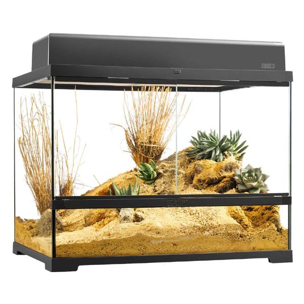 Exo Terra Pro Terrarium 60 x 45 x 45cm Medium Wide 2 Exo Terra Pro Terrarium 60 x 45 x 45cm Medium Wide - Image 2