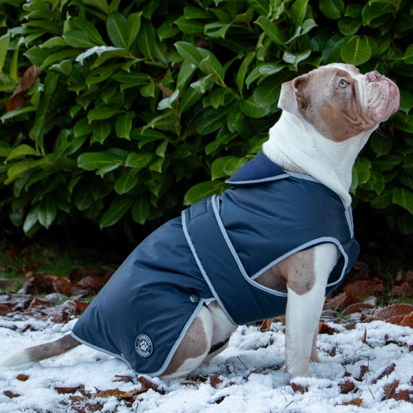 Stormguard Dog Coat Navy Medium