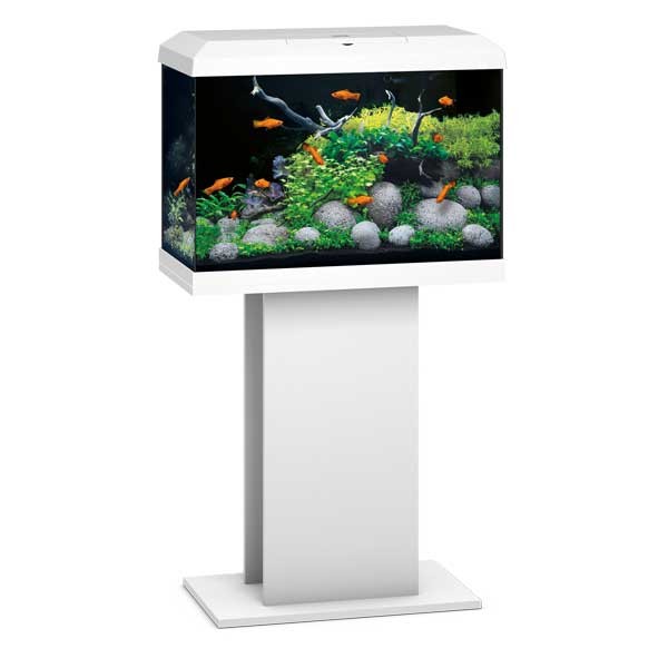 Juwel Primo 70 2.0 White - Aquarium 3 Juwel Primo 70 2.0 White - Aquarium - Image 3