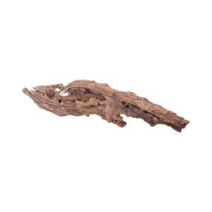 Large Driftwood Single Piece