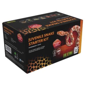 Exo Terra Juvenile Hatchling Accessory Kit