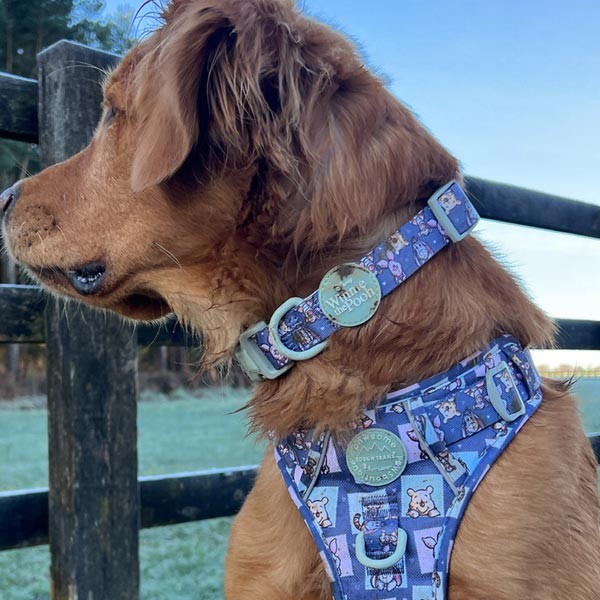 Disney© Winnie + Friends Collar - Medium 2 Disney© Winnie + Friends Collar - Medium - Image 2