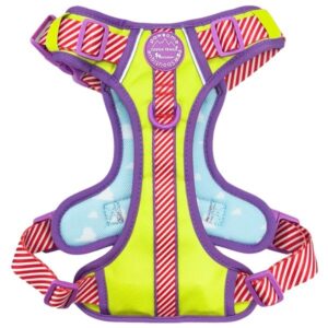 Disney© Tough Trails Buzz Lightyear Medium Harness
