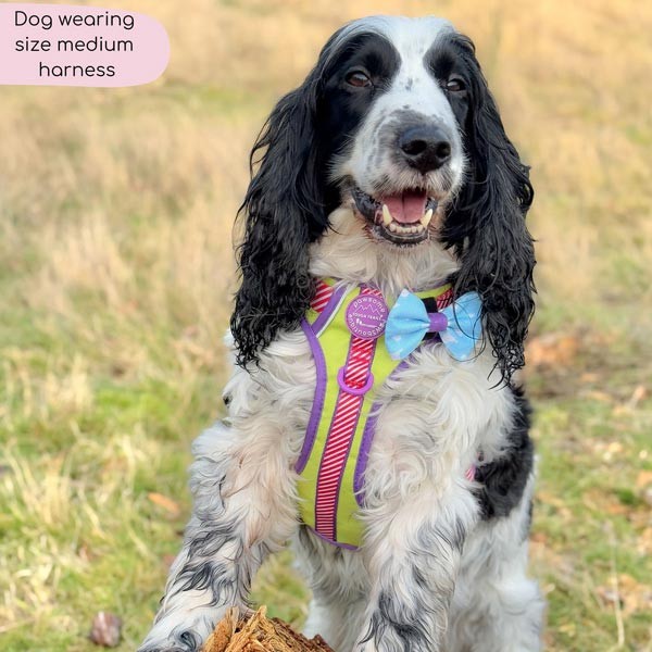 Disney© Tough Trails Buzz Lightyear Medium Harness 3 Disney© Tough Trails Buzz Lightyear Medium Harness - Image 3
