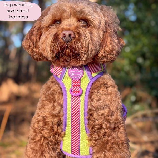 Disney© Tough Trails Buzz Lightyear Small Harness 3 Disney© Tough Trails Buzz Lightyear Small Harness - Image 3