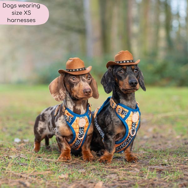 Disney© Tough Trails Woody Harness X-Small 3 Disney© Tough Trails Woody Harness X-Small - Image 3