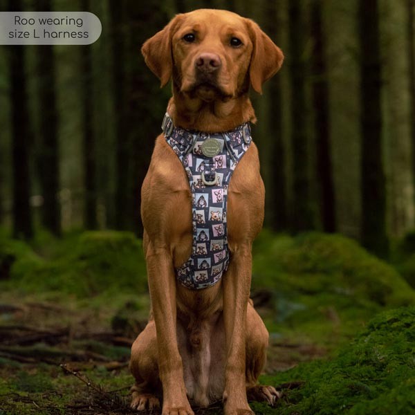 Disney© Tough Trails Winnie + Friends Large Harness 3 Disney© Tough Trails Winnie + Friends Large Harness - Image 3