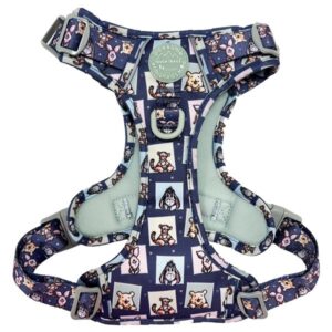 Disney© Tough Trails Winnie + Friends Small Harness
