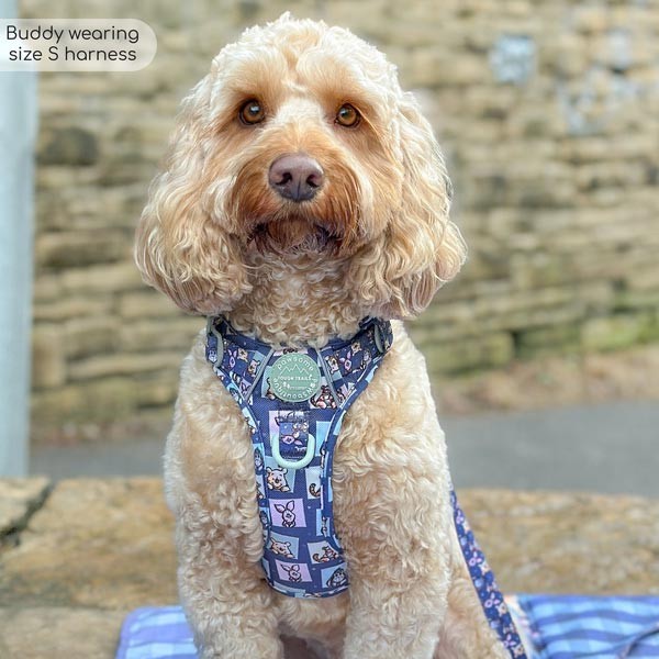 Disney© Tough Trails Winnie + Friends Small Harness 3 Disney© Tough Trails Winnie + Friends Small Harness - Image 3