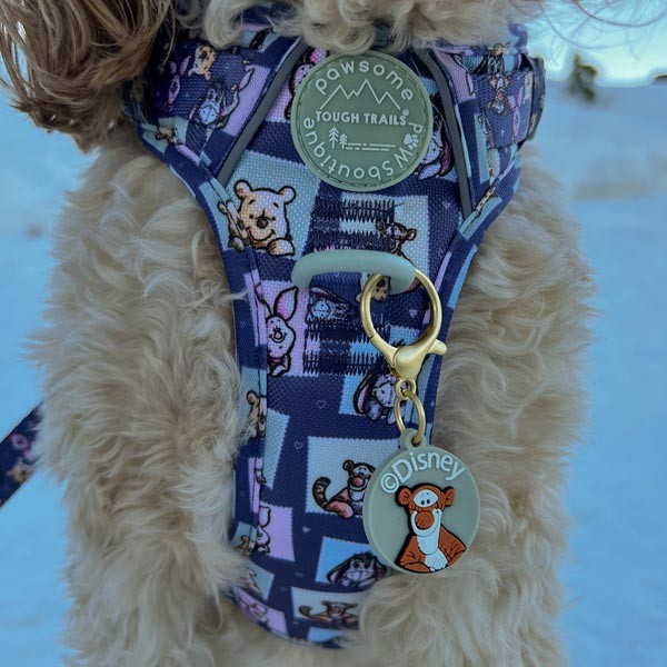 Disney© Tigger Collar/Lead Charm 2 Disney© Tigger Collar/Lead Charm - Image 2