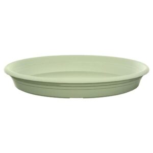 Florus Universal Saucer Round Mint Green 35cm