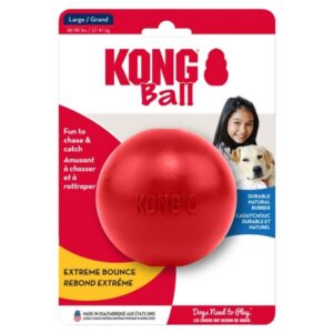 KONG Ball Large