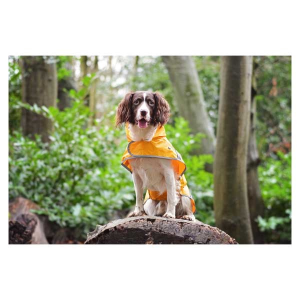Raincoat Sunshine Yellow Small 23cm 2 Raincoat Sunshine Yellow Small 23cm - Image 2