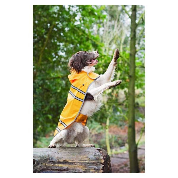 Raincoat Sunshine Yellow Small 23cm 4 Raincoat Sunshine Yellow Small 23cm - Image 4