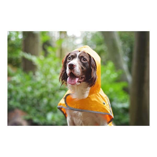 Raincoat Sunshine Yellow XLarge 51cm 3 Raincoat Sunshine Yellow XLarge 51cm - Image 3