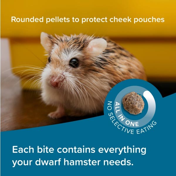 Care+ Dwarf Hamster 500g 3 Care+ Dwarf Hamster 500g - Image 3
