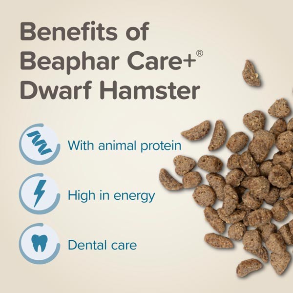 Care+ Dwarf Hamster 500g 4 Care+ Dwarf Hamster 500g - Image 4