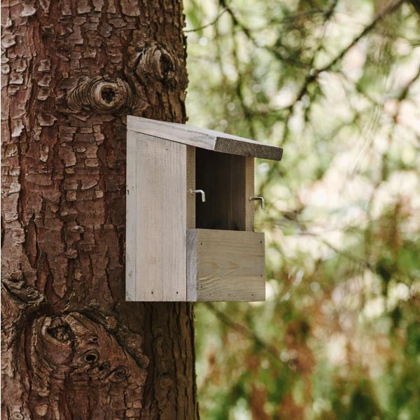 Peckish Everyday Nest Box 2 Peckish Everyday Nest Box - Image 2