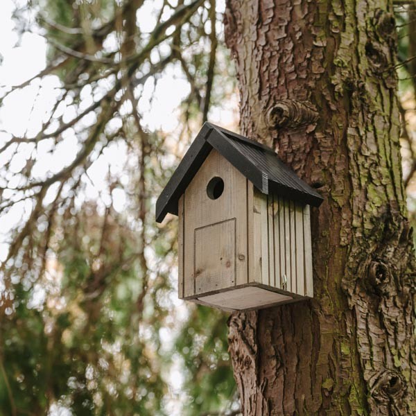 Peckish Garden Bird Nest Box 2 Peckish Garden Bird Nest Box - Image 2