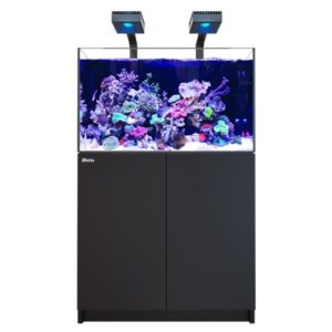 Red Sea Reefer Max 300 G3 Black Aquarium Kit