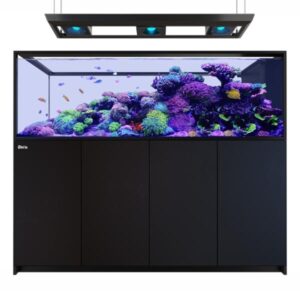 Red Sea Reefer Max Peninsula S-950 G3 Black Aquarium Kit