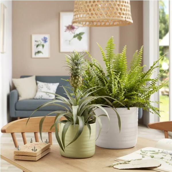 Scheurich Flower Pot 850 Silent Green 17cm 2 Scheurich Flower Pot 850 Silent Green 17cm - Image 2