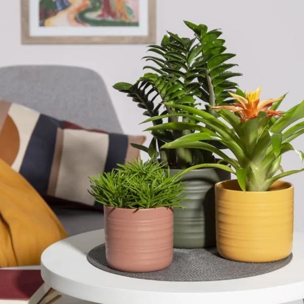 Scheurich Flower Pot 850 Forest Green 23cm 2 Scheurich Flower Pot 850 Forest Green 23cm - Image 2