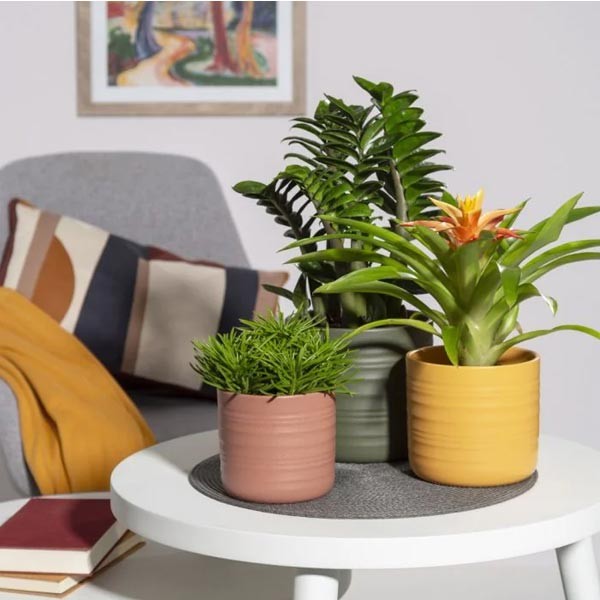 Scheurich Flower Pot 850 Sunburn 12cm 2 Scheurich Flower Pot 850 Sunburn 12cm - Image 2