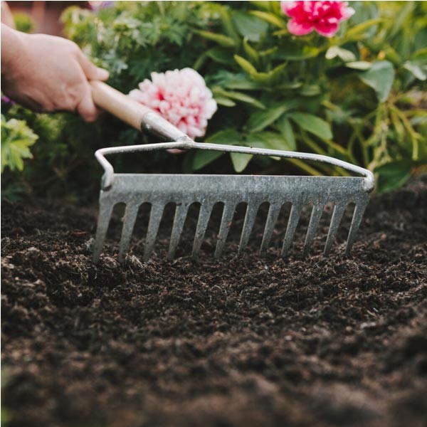 Westland Organic Gold Fine Mulch 50Ltr 3 Westland Organic Gold Fine Mulch 50Ltr - Image 3