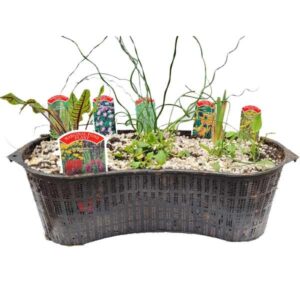 Waterplant Marginal Contour Mixed 8 Litre