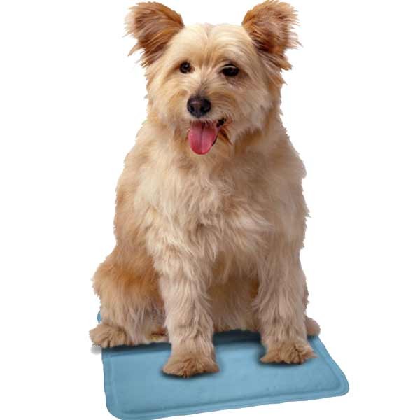 Snugglesafe Cool Pad 30x25cm 2 Snugglesafe Cool Pad 30x25cm - Image 2