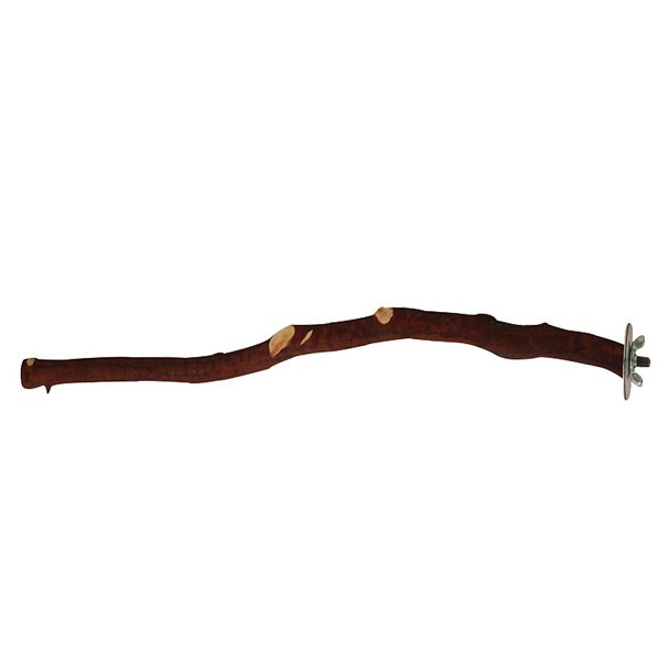 Manzanita Natural Bird Perch Small 45cm 1 Manzanita Natural Bird Perch Small 45cm