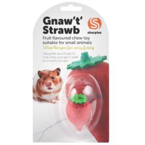Sharples Gnaw 't' Strawberry Chew Toy