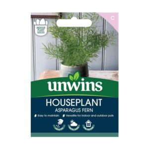 Unwins Houseplant Asparagus Fern